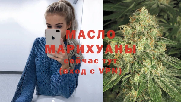 крисы Алексин
