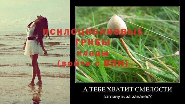 крисы Алексин