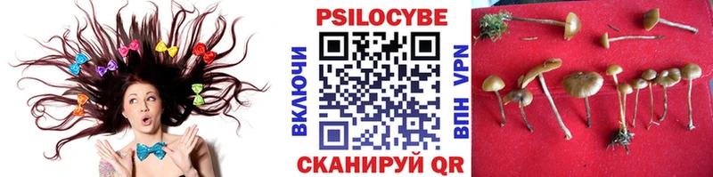 Псилоцибиновые грибы мицелий Покачи